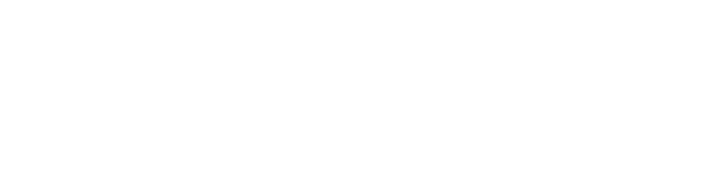 logo san camilo